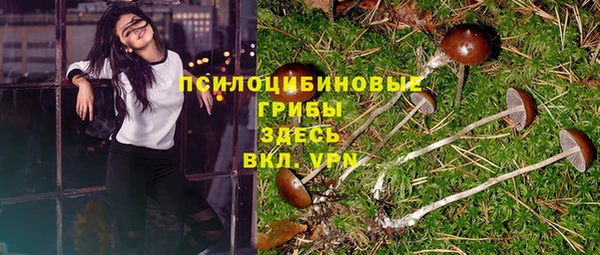 ГАЛЛЮЦИНОГЕННЫЕ ГРИБЫ Балахна