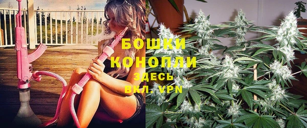 ГАЛЛЮЦИНОГЕННЫЕ ГРИБЫ Балахна