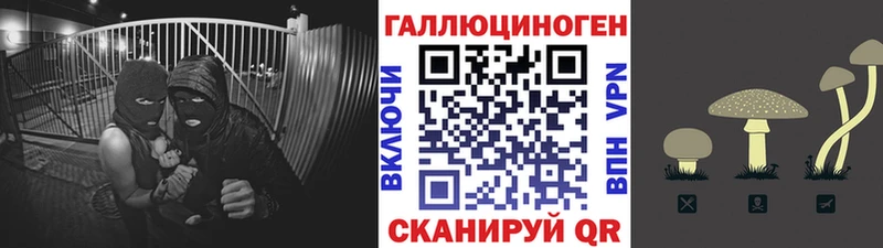 Галлюциногенные грибы Cubensis  Корсаков 